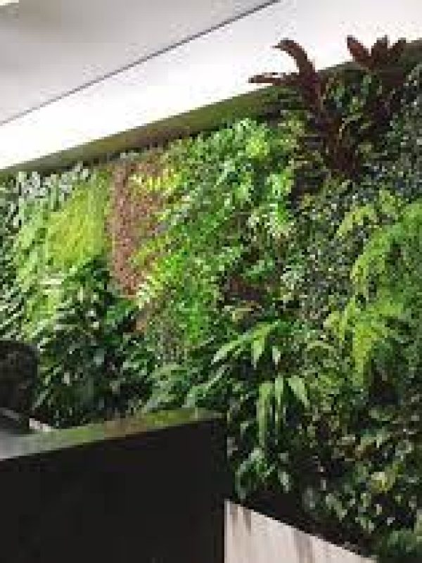 green wall 1